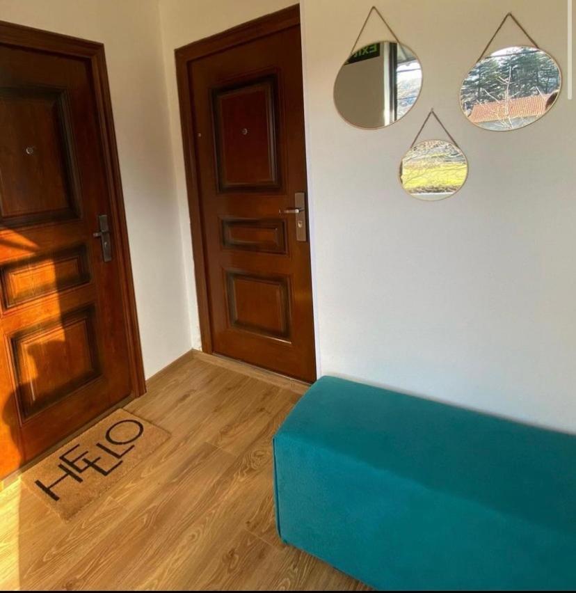 Apartman Vucinic Cetinje Exterior photo